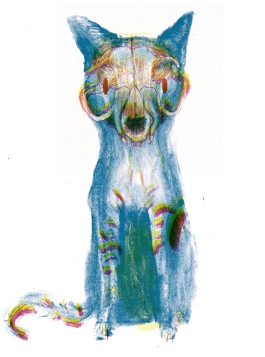 the-voodoo-cat-skull-e1520362074665.jpg